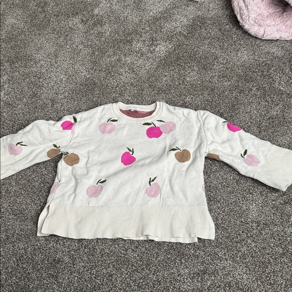 Mini Boden mushroom mouse pullover and Gap Apple pullover - Picture 4 of 6